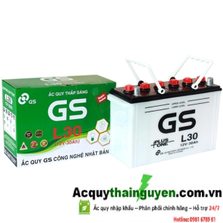 ẮC QUY GS L30 12V - 30AH (DÂN DỤNG)