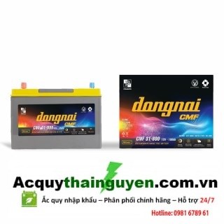 ẮC QUY ĐỒNG NAI 12V - 100AH CMF 31800