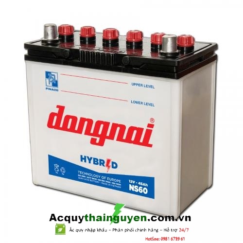 ẮC QUY ĐỒNG NAI 12V - 45AH NS60