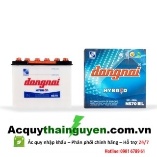 ẮC QUY ĐỒNG NAI 12V - 65AH NS70