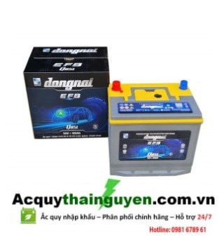 ẮC QUY ĐỒNG NAI 12V - 65AH EFB Q85